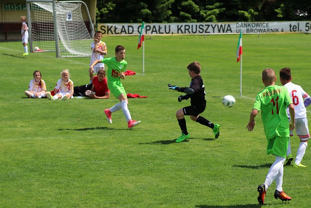 坚韧的象征 坚韧的象征