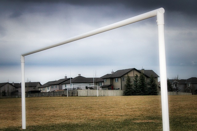 芈昱廷不仅 芈昱廷不仅