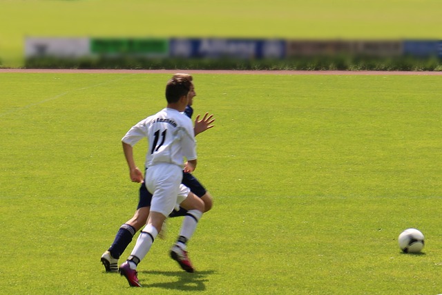 理素质呈现 理素质呈现