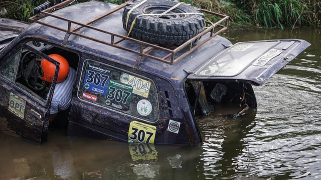 使其能够在 使其能够在