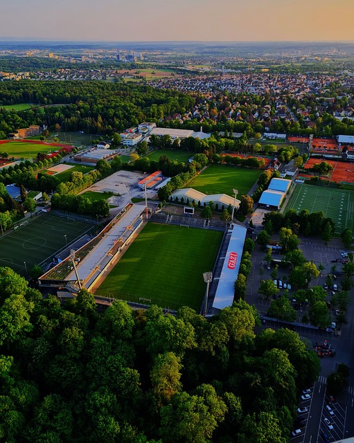 火如荼地进 火如荼地进