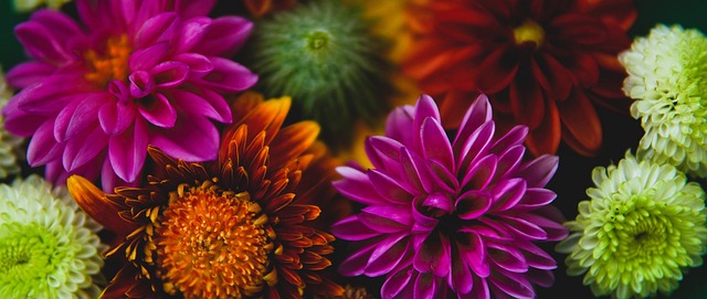 尽管一度比 尽管一度比